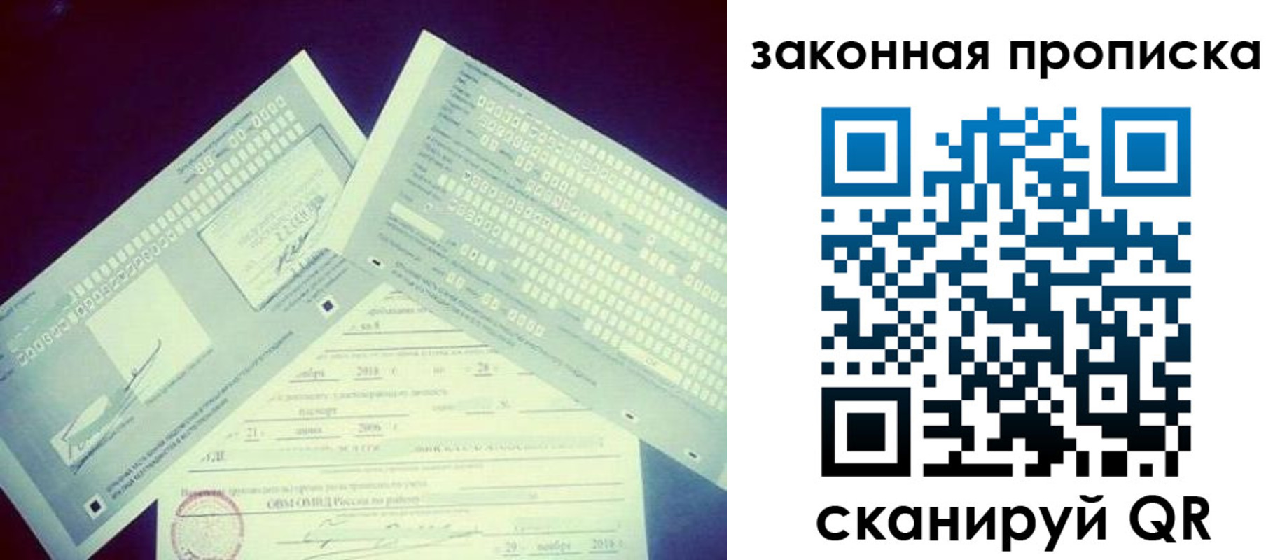 прописка поиск в Мончегорске